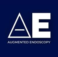 Augmented Endoscopy