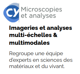 CY Microscopies & Analyses